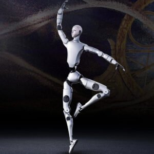 H2 İnsansı Robot