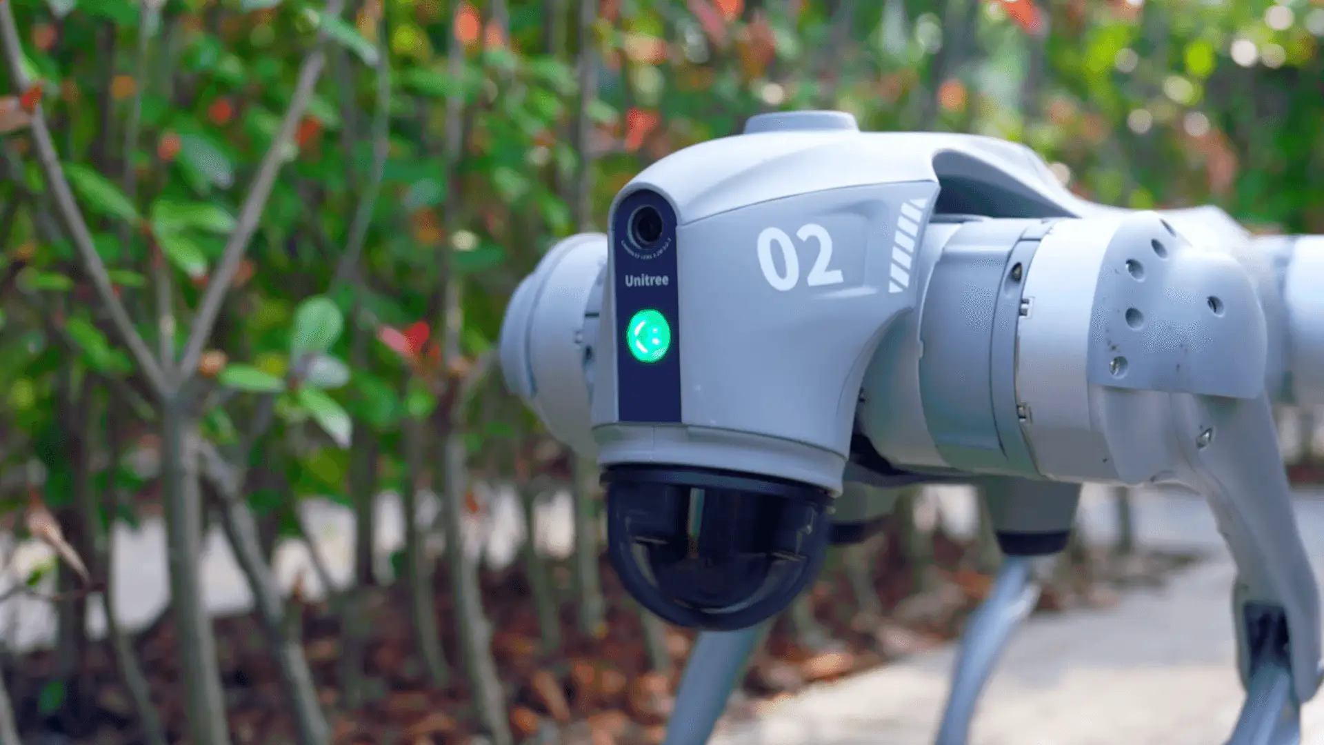 Robot Köpek Unitree Go2 Sonsuz Devrim - Görsel 11